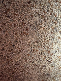 4kg  Budgie Special Seed