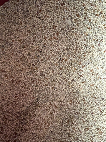500g Budgie Special Seed