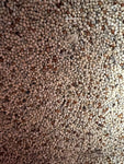 1KG Budgie Special Seed