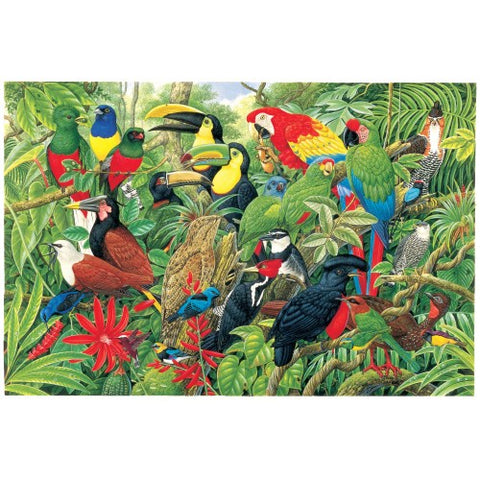 Birds Of Costa Rica 1000 Piece Puzzle