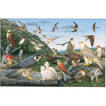 Falcons 1000 Piece Puzzle