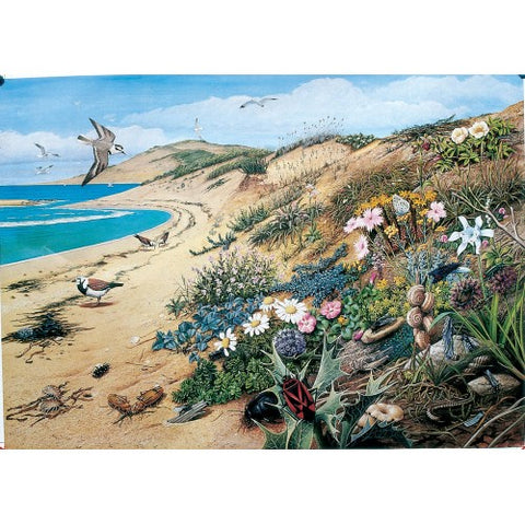 JHG Sun Sand Sea and Sky 1000 Piece Puzzle